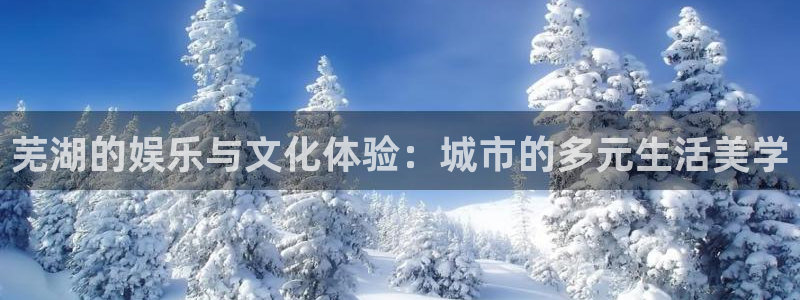 yy易游vip