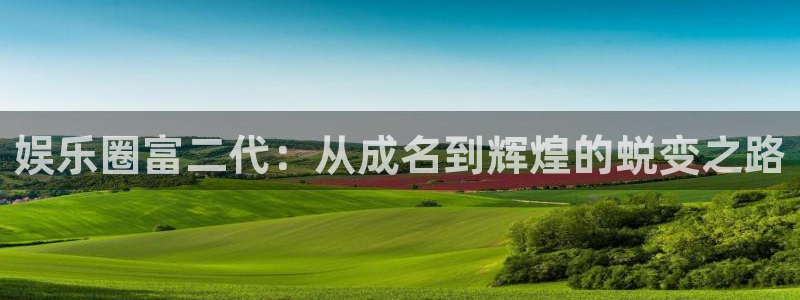 yy易游平台