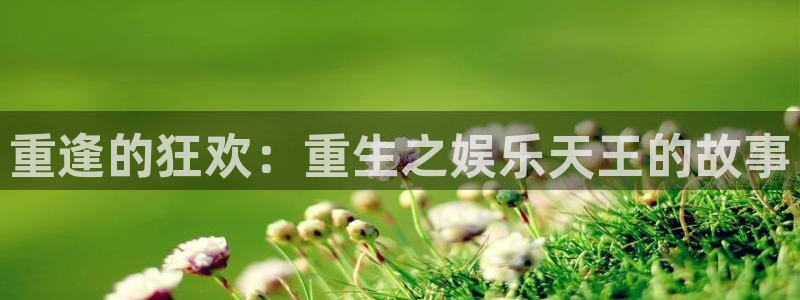yy易游
