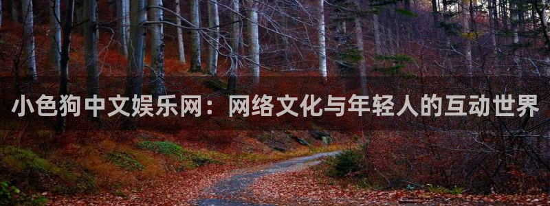 米乐yy易游m6网址