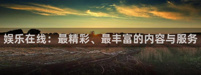 yy易游平台